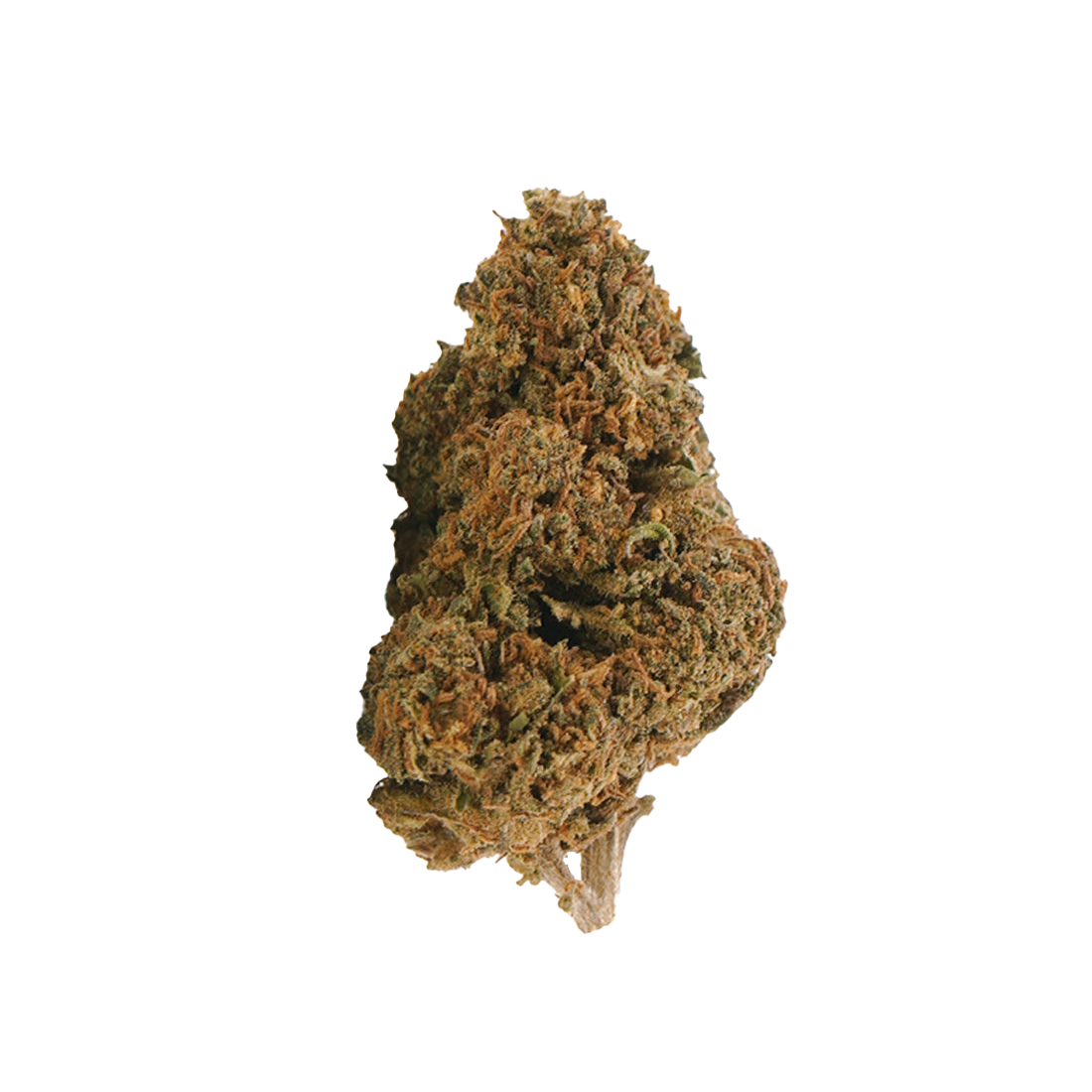 Jack Herer HHX 🌿