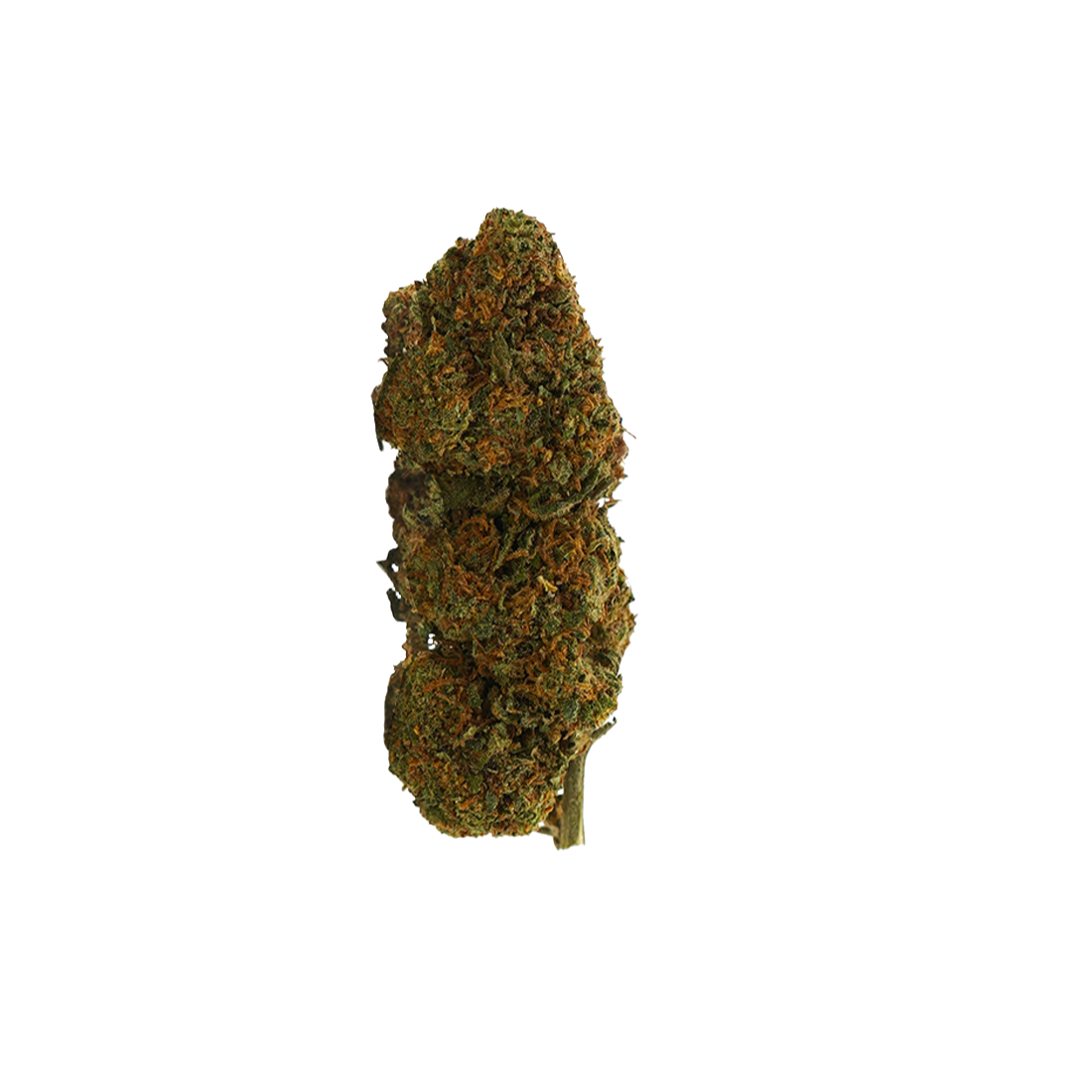 Prime Kush THC-NM 👑
