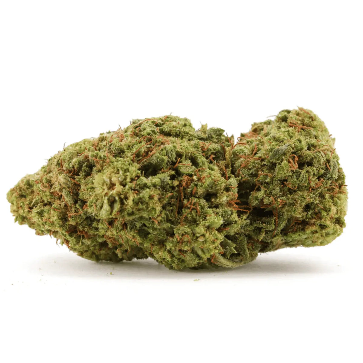 Orange Bud TH9C 🍊