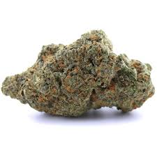 Amnesia TH9C 🧠