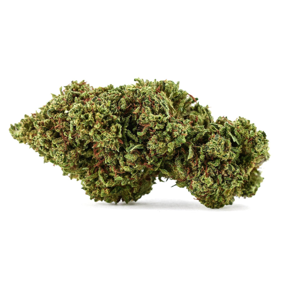 Gorilla Glue TH9C 🦍