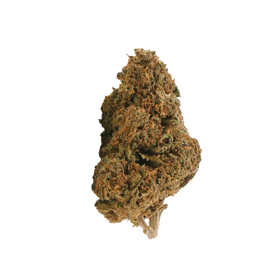 Jack Herer HHX 🌿