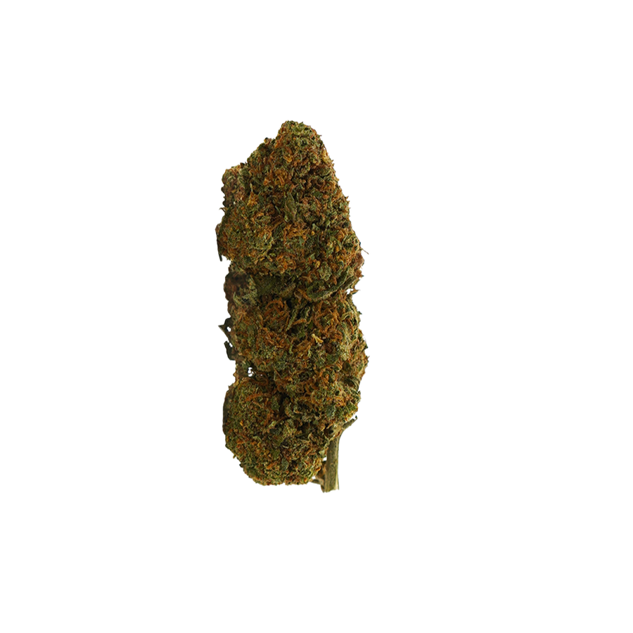 Prime Kush THC-NM 👑