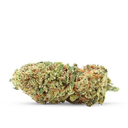 Cali GMO Cookies HHX 🍪
